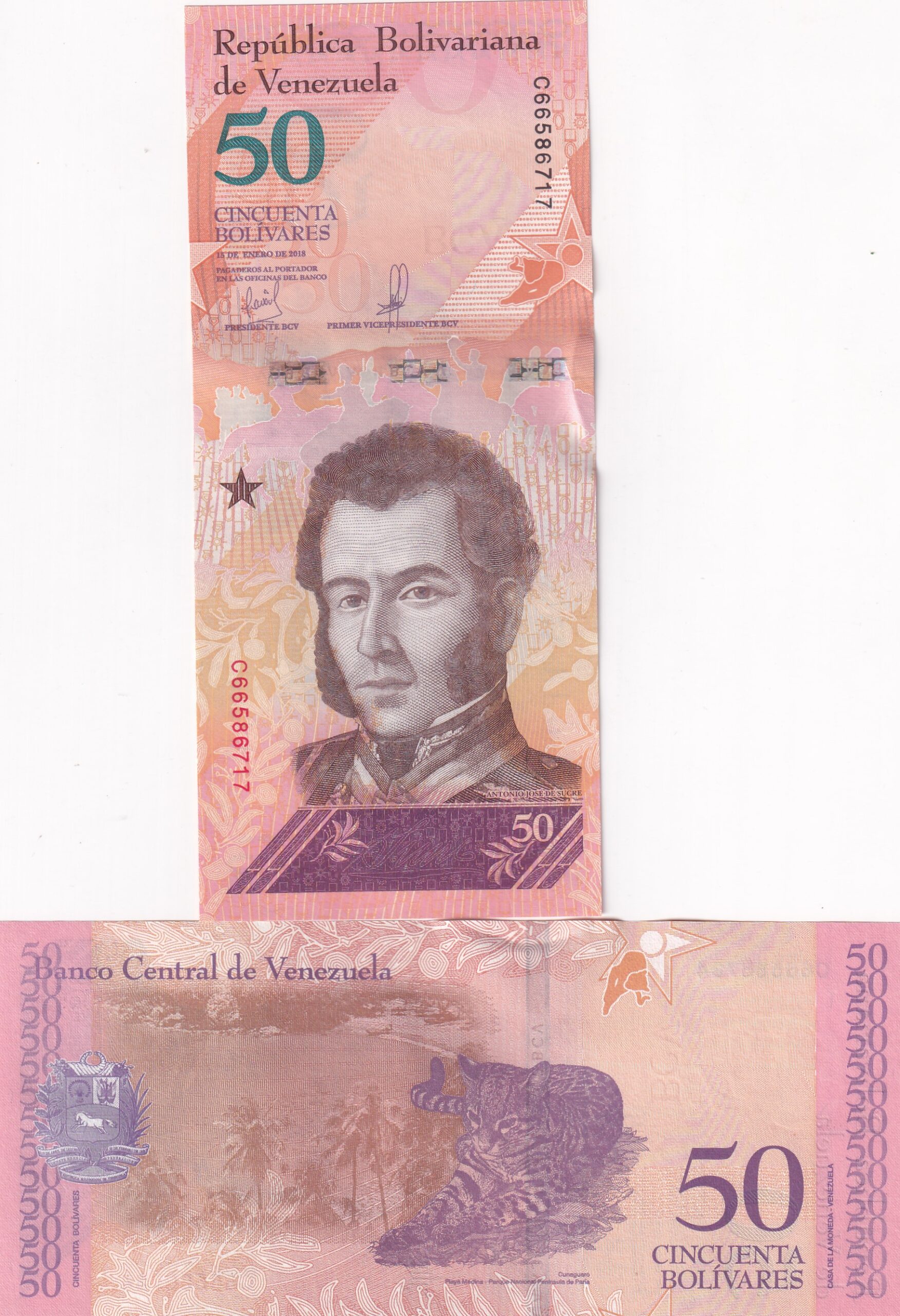IMG_20260303_0044 Venezuela 50 Bolívares Rare GEM UNC Note #Q - Image 1