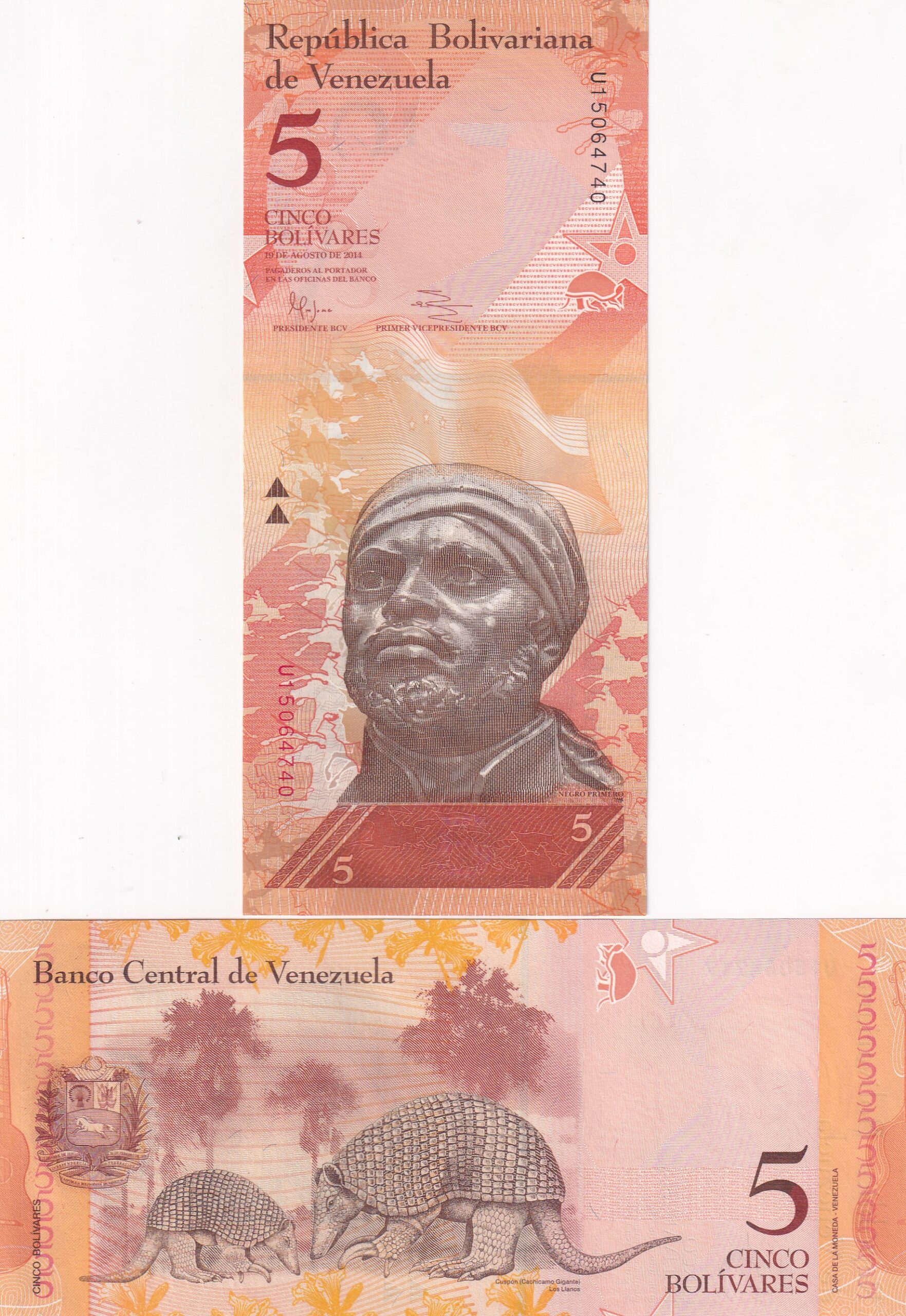 IMG_20260303_0048 Venezuela 5 Bolívares Rare GEM UNC Note #Q - Image 1