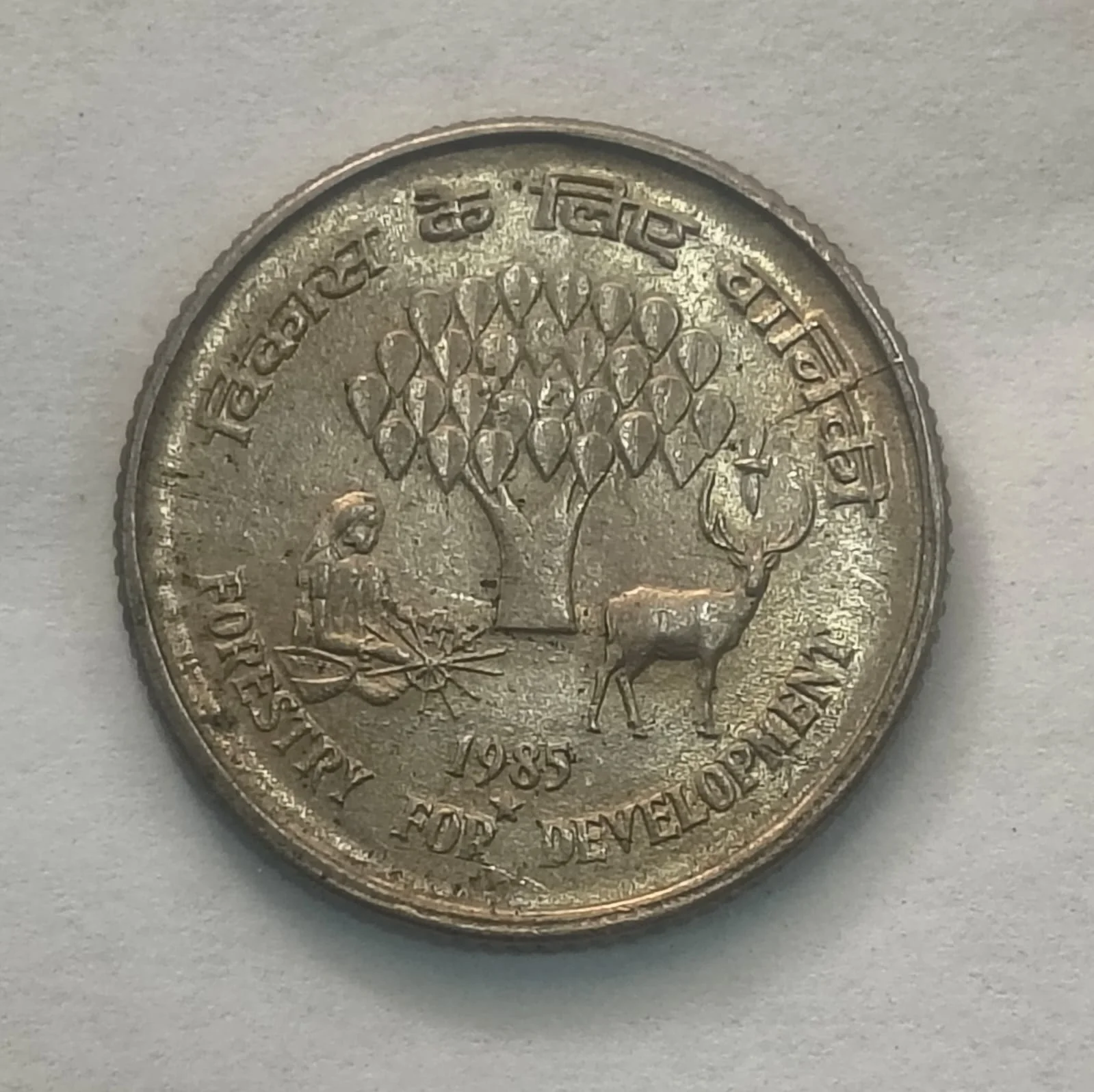 WhatsApp Image 2026-03-13 at 6.16.49 AM India 25 Paise of 1985 (Forestry For Development) - Hyderabad Mint Rare UNC Coin - Image 1