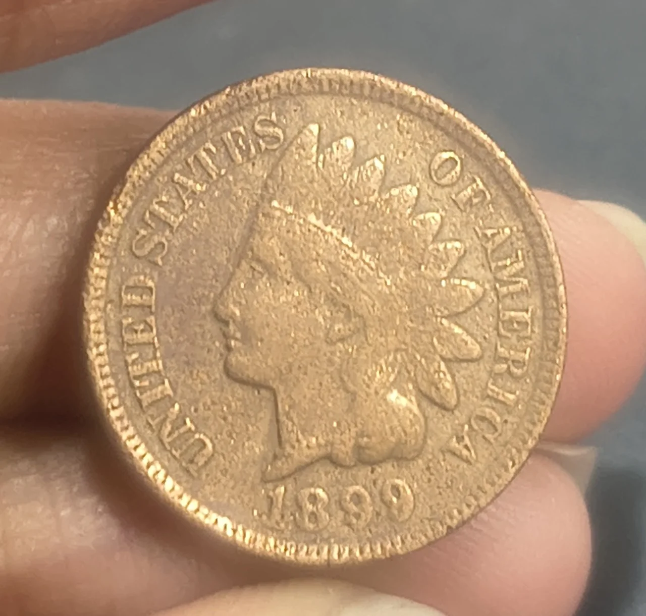 IMG_20260424_174736237_HDR.jpg United States 1 Cent 1899 "Indian Head Cent" Rare Coin - Image 1